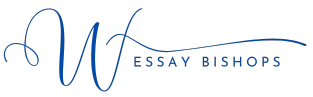 EssayScrubs logo